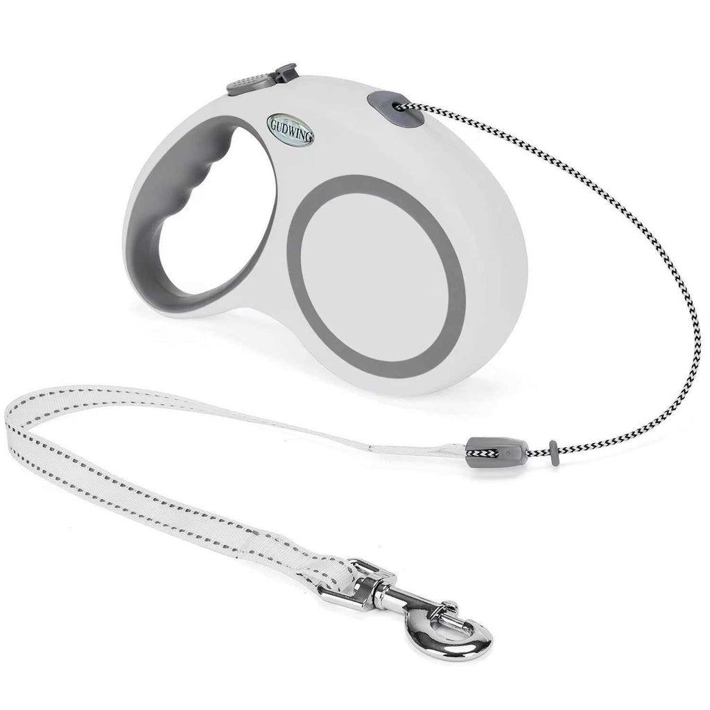 Retractable Dog Leash 30 Ft G82524
