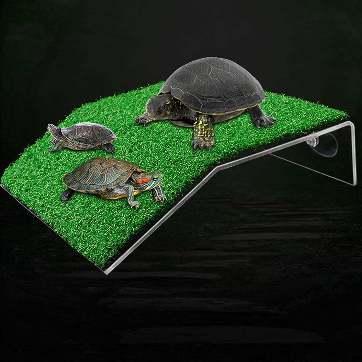 Lawn Turtle Basking Platform K63402