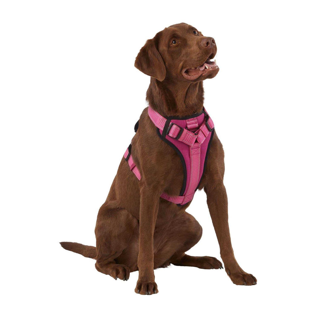 Neoprene Padded Dog Harness Z73202