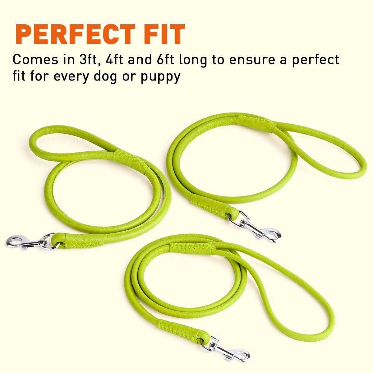 Soft Leather Round Leash N1503