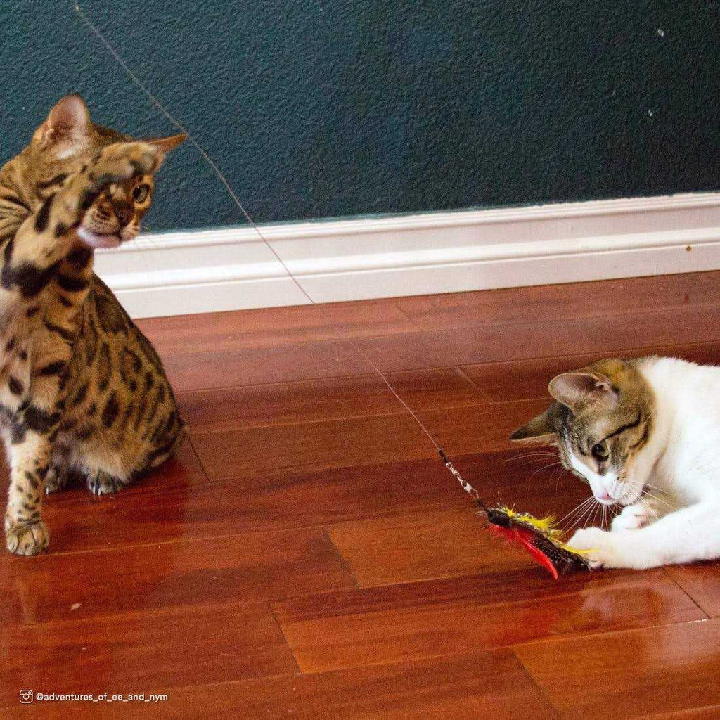 Flying Teaser Cat Toy F870171