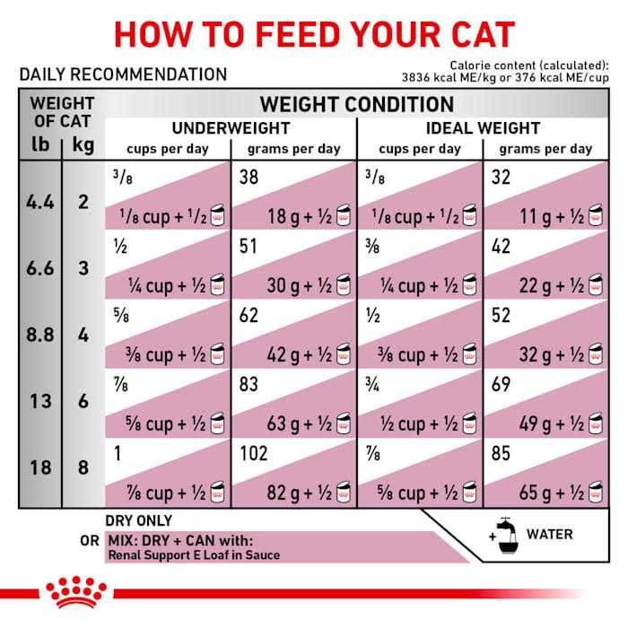 Dry Food D75093