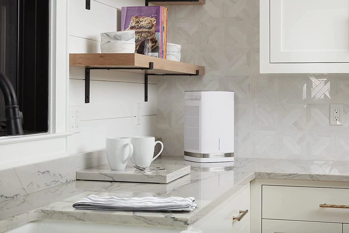 Medium Room Countertop Air Purifier with HEPA Filters Y45808