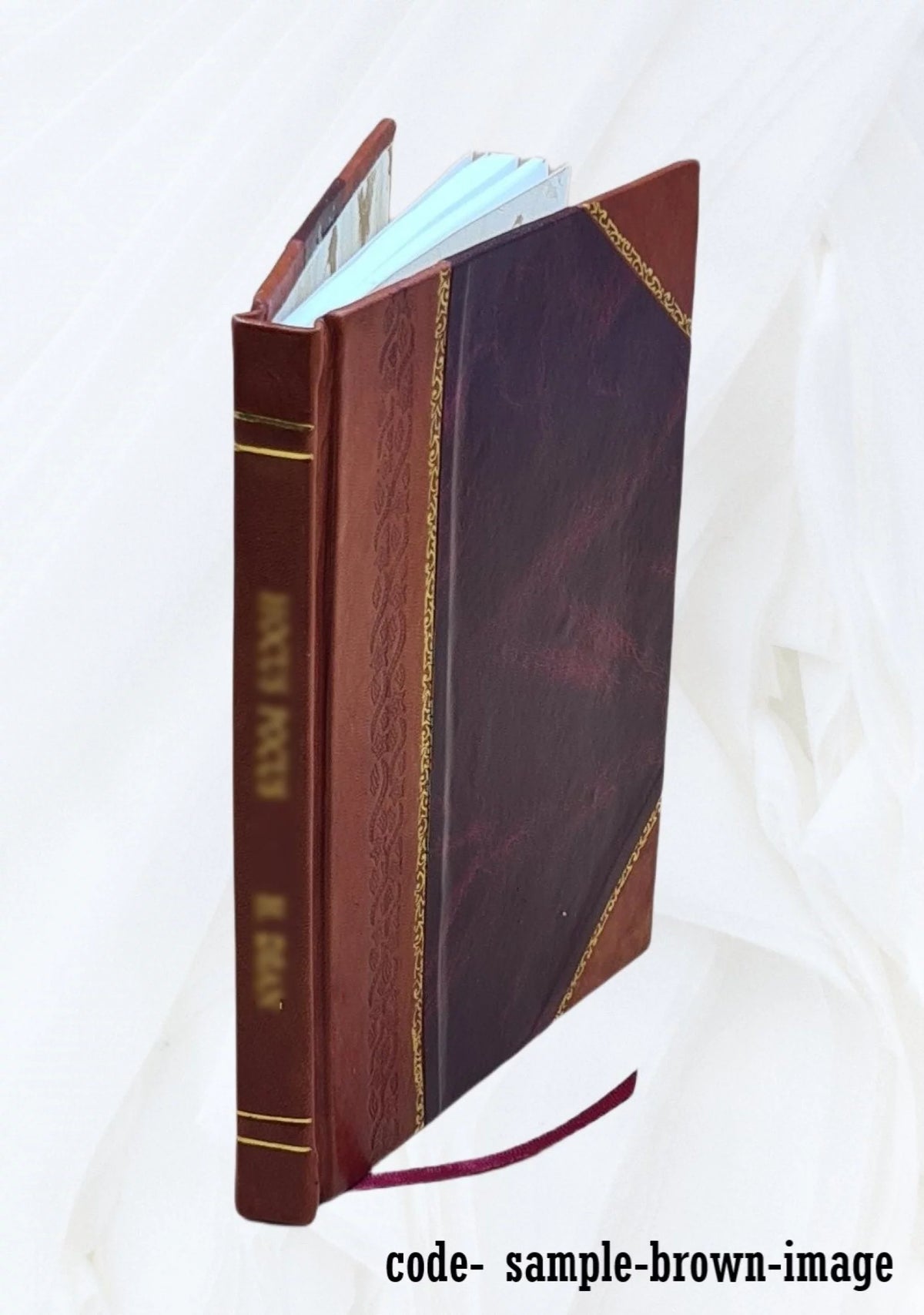1915 Seed Catalogue Leather Bound Q5224
