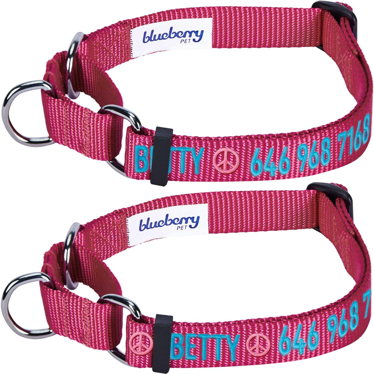 Martingale Safety Training Dog Collar O266