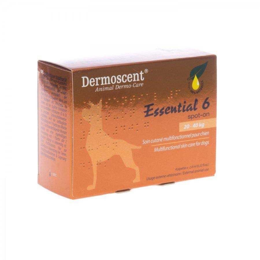 Essential 6 Spot-On Dogs U789599