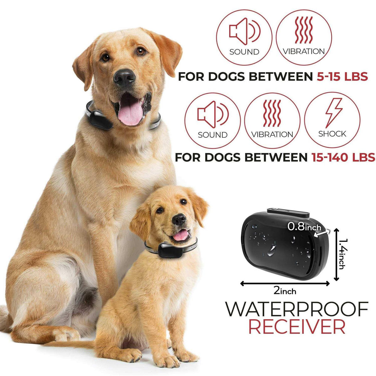Extra Small Dog Training Collar with Remote I8419