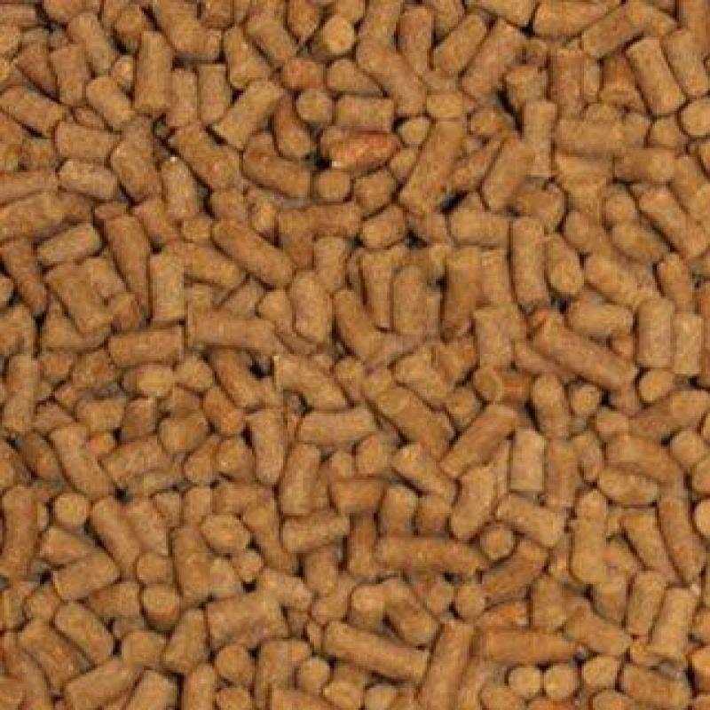 Shrimp Pellets Fish Food C993
