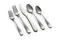 20 Piece Satin Flatware Set N345